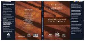 Proceso democrático y garantismo procesal
